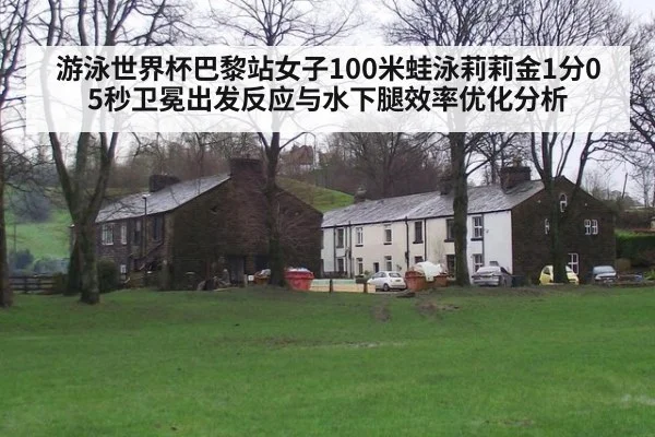 游泳世界杯巴黎站女子100米蛙泳莉莉金1分05秒卫冕出发反应与水下腿效率优化分析